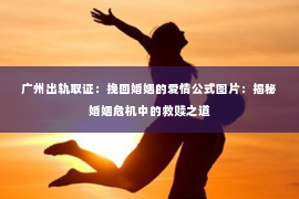 广州出轨取证：挽回婚姻的爱情公式图片：揭秘婚姻危机中的救赎之道