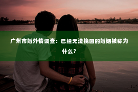 广州市婚外情调查：已经无法挽回的婚姻被称为什么？