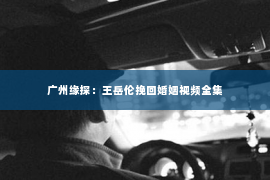广州缘探：王岳伦挽回婚姻视频全集
