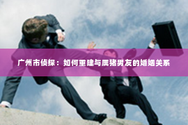 广州市侦探：如何重建与属猪男友的婚姻关系