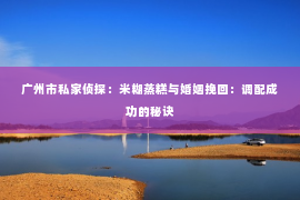 广州市私家侦探：米糊蒸糕与婚姻挽回：调配成功的秘诀