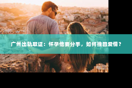 广州出轨取证：怀孕他要分手，如何挽回爱情？