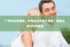 广州市私家侦探：吵架后分手多久挽回：理性分析与有效策略