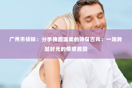 广州市侦探：分手挽回温柔的诗句古风：一场跨越时光的情感救赎