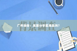 广州缘探：属猪分手能挽回吗？