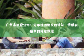 广州市调查公司：分手挽回绝交的诗句：情感裂痕中的诗意救赎