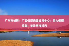 广州市侦探:广西情感挽回咨询中心:助力情感修复,重拾幸福时光 广州市侦探:广西情感挽回咨询中心:助力情感修复,重拾幸福时光