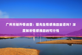 广州市婚外情调查：猫先生情感挽回靠谱吗？深度解析情感挽回的可行性