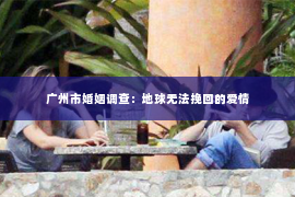 广州市婚姻调查:地球无法挽回的爱情 广州市婚姻调查:地球无法挽回的爱情