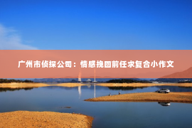 广州市侦探公司：情感挽回前任求复合小作文