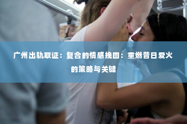 广州出轨取证：复合的情感挽回：重燃昔日爱火的策略与关键