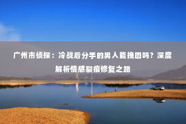 广州市侦探：冷战后分手的男人能挽回吗？深度解析情感裂痕修复之路