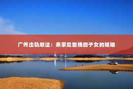 广州出轨取证：亲家见面挽回子女的婚姻