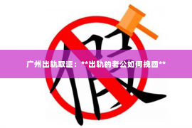 广州出轨取证：**出轨的老公如何挽回**