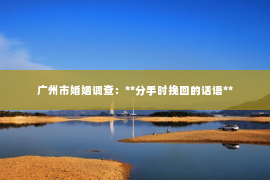 广州市婚姻调查:**分手时挽回的话语** 广州市婚姻调查:**分手时挽回的话语**