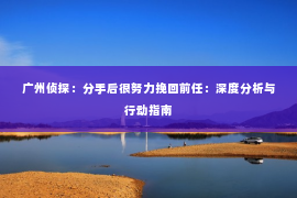 广州侦探：分手后很努力挽回前任：深度分析与行动指南