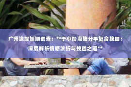 广州缘探婚姻调查：**于小彤海陆分手复合挽回：深度解析情感波折与挽回之道**