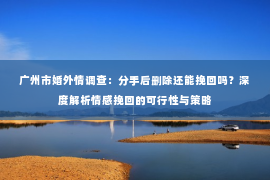 广州市婚外情调查：分手后删除还能挽回吗？深度解析情感挽回的可行性与策略
