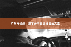 广州市侦探：提了分手又想挽回的文案
