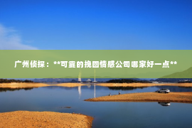 广州侦探：**可靠的挽回情感公司哪家好一点**