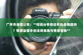 广州市调查公司：**你说分手他还有机会挽回吗？情感裂痕中的法律视角与情感策略**