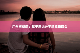 广州市侦探：双子座说分手还能挽回么