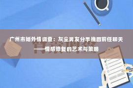 广州市婚外情调查：灰尘男友分手挽回前任聊天——情感修复的艺术与策略