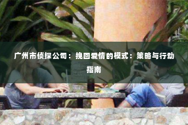 广州市侦探公司：挽回爱情的模式：策略与行动指南
