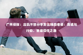 广州侦探：出轨不想分手怎么挽回老婆：真诚与行动，重建信任之路
