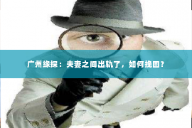 广州缘探：夫妻之间出轨了，如何挽回？