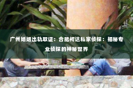 广州婚姻出轨取证：合肥柯达私家侦探：揭秘专业侦探的神秘世界
