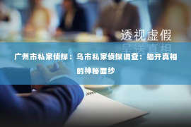 广州市私家侦探：乌市私家侦探调查：揭开真相的神秘面纱