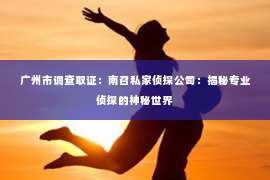 广州市调查取证:南召私家侦探公司:揭秘专业侦探的神秘世界 广州市调查取证:南召私家侦探公司:揭秘专业侦探的神秘世界