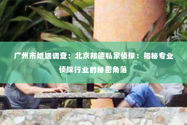 广州市婚姻调查：北京邦德私家侦探：揭秘专业侦探行业的秘密角落