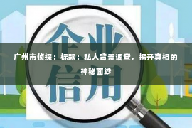 广州市侦探：标题：私人背景调查，揭开真相的神秘面纱