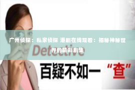 广州侦探：私家侦探 港剧在线观看：揭秘神秘世界的精彩剧集
