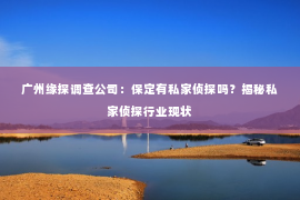 广州缘探调查公司：保定有私家侦探吗？揭秘私家侦探行业现状
