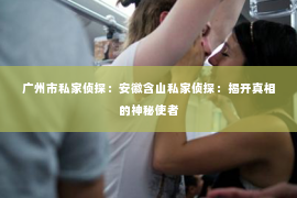 广州市私家侦探：安徽含山私家侦探：揭开真相的神秘使者