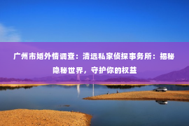 广州市婚外情调查：清远私家侦探事务所：揭秘隐秘世界，守护你的权益