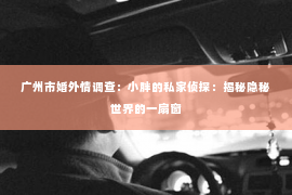 广州市婚外情调查：小胖的私家侦探：揭秘隐秘世界的一扇窗