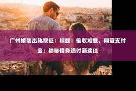 广州婚姻出轨取证：标题：催收难题，网查支付宝：揭秘债务追讨新途径