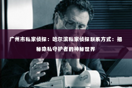 广州市私家侦探：哈尔滨私家侦探联系方式：揭秘隐私守护者的神秘世界
