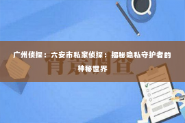 广州侦探：六安市私家侦探：揭秘隐私守护者的神秘世界