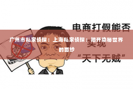 广州市私家侦探：上海私家侦探：揭开隐秘世界的面纱