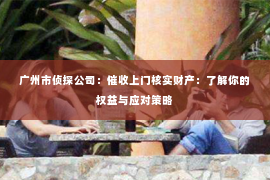 广州市侦探公司：催收上门核实财产：了解你的权益与应对策略