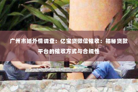 广州市婚外情调查：亿宝贷微信催收：揭秘贷款平台的催收方式与合规性