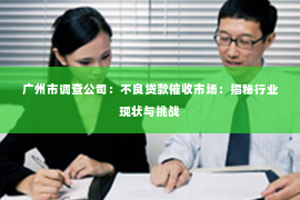 广州市调查公司：不良贷款催收市场：揭秘行业现状与挑战