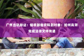 广州出轨取证：催收邮寄资料到村委：如何高效完成法律文件传递