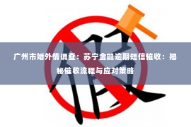 广州市婚外情调查：苏宁金融逾期短信催收：揭秘催收流程与应对策略