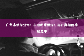 广州市侦探公司：丰顺私家侦探：揭开真相的神秘之手
